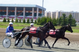 Лошадь Повалиха (Лас-Вегас - Пахира) на дистанции в Казани