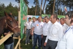 Молодёжный образовательный форум «МолГород-2013» при поддержке Чувашского конного завода