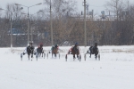 На Центральном Московском ипподроме  жеребец Кардамон (New And Notable - Крушина) остался третьим с хорошей резвостью для зимней дорожки в 2.03,2